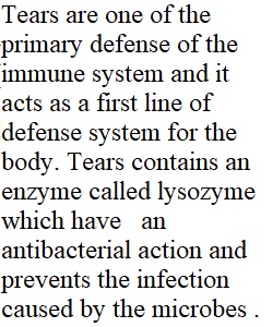 Immune System DQ 1